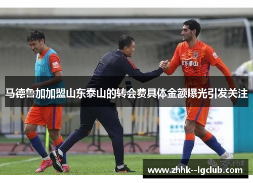 马德鲁加加盟山东泰山的转会费具体金额曝光引发关注